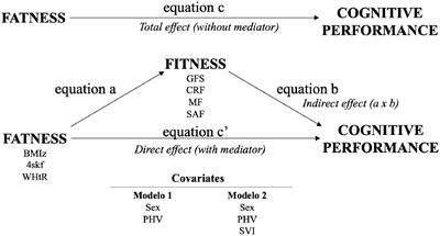 Mediation Role of Physical Fitness and Its Components on the Association Between Distribution-Related Fat Indicators and Adolescents’ Cognitive Performance: Exploring the Influence of School Vulnerability. The Cogni-Action Project